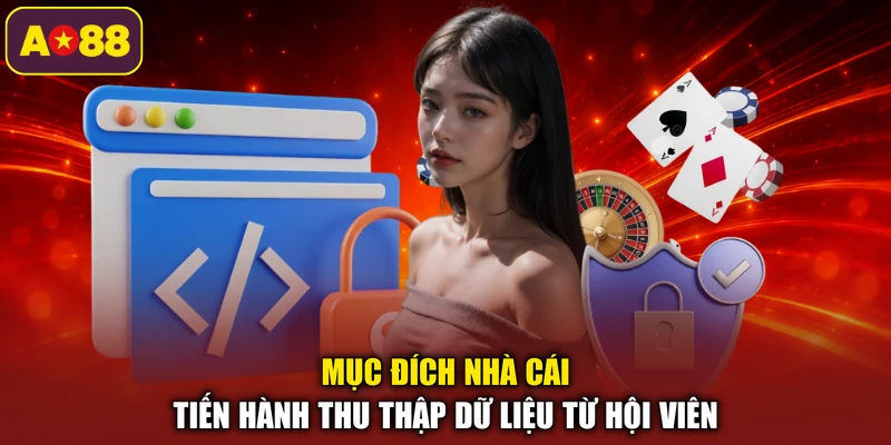 Mục đích nhà cái tiến hành thu thập dữ liệu từ hội viên